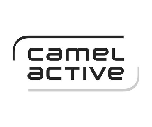 Camel_2